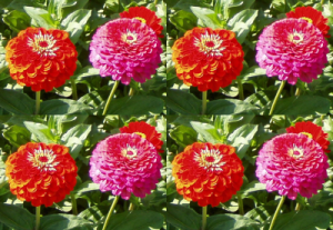 Anwendungsbeispiel für das Filter Kacheln